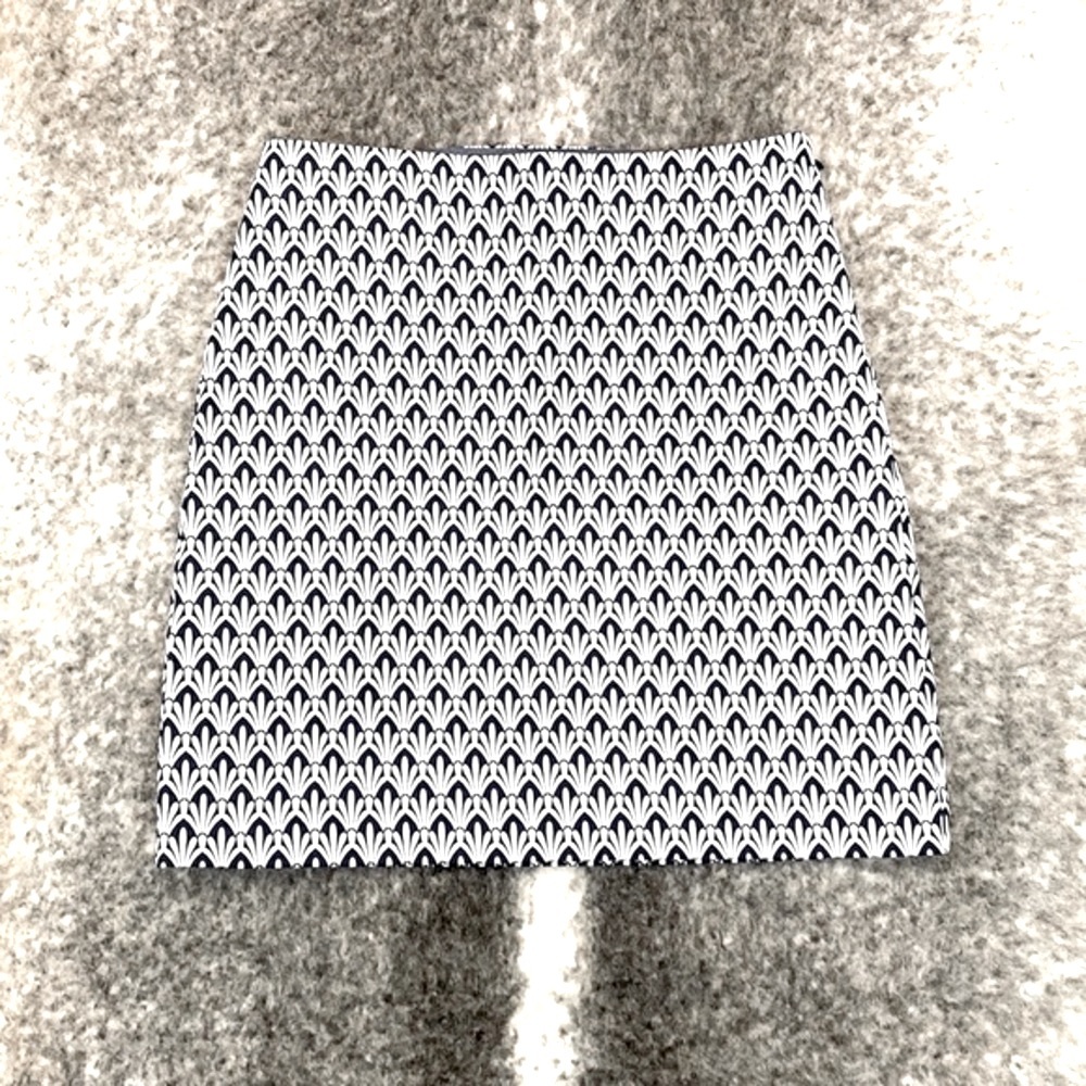 TALBOTS Blue and White Print Mini Skirt